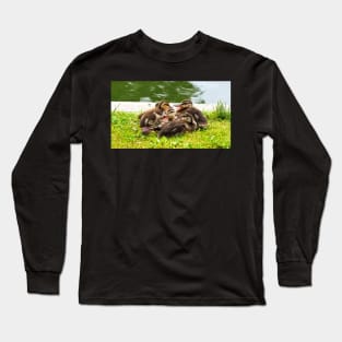 Canada Geese Goslings Huddling Together Long Sleeve T-Shirt